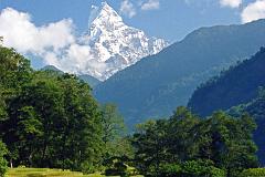 605 Machapuchare From Lower Modi Khola Valley